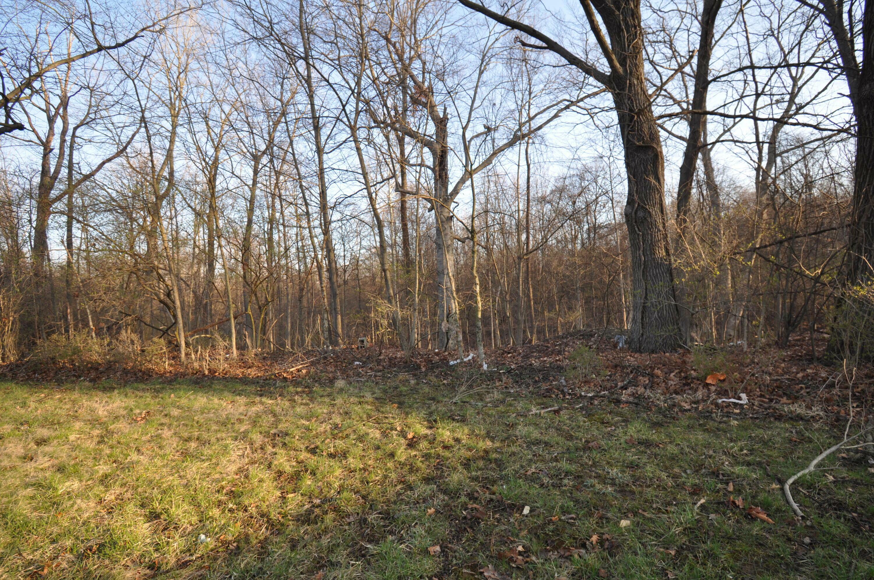 Property Photo:  0 Vantage Point Drive  OH 43224 