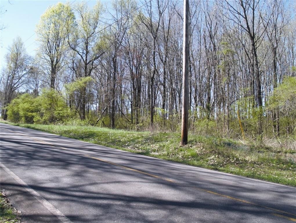 Property Photo: 0 Grindle Road GA 30041