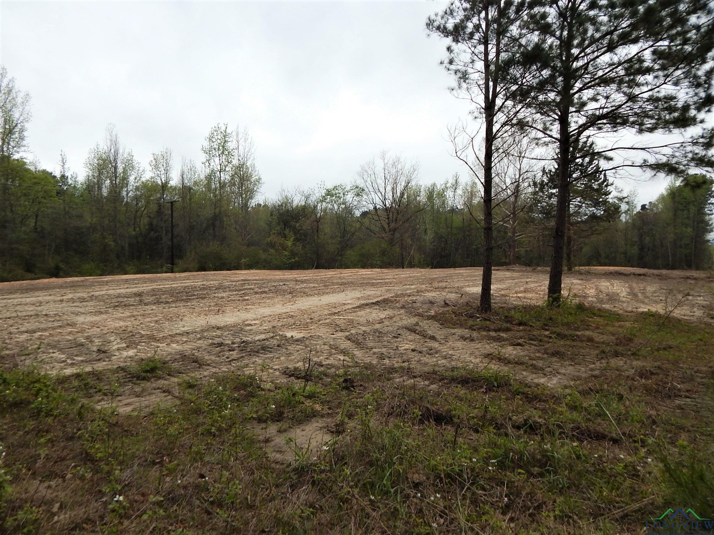 Property Photo:  Tbd N State Hwy 155 Tract 3  TX 75683 