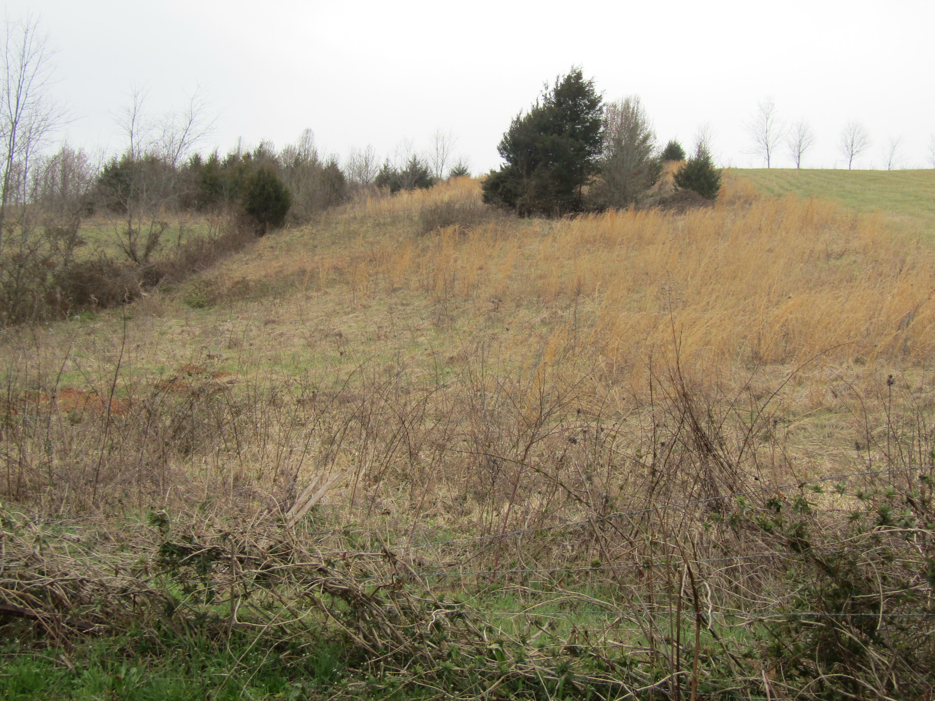 Property Photo:  Lot # 9 Walkertown Road  TN 37743 