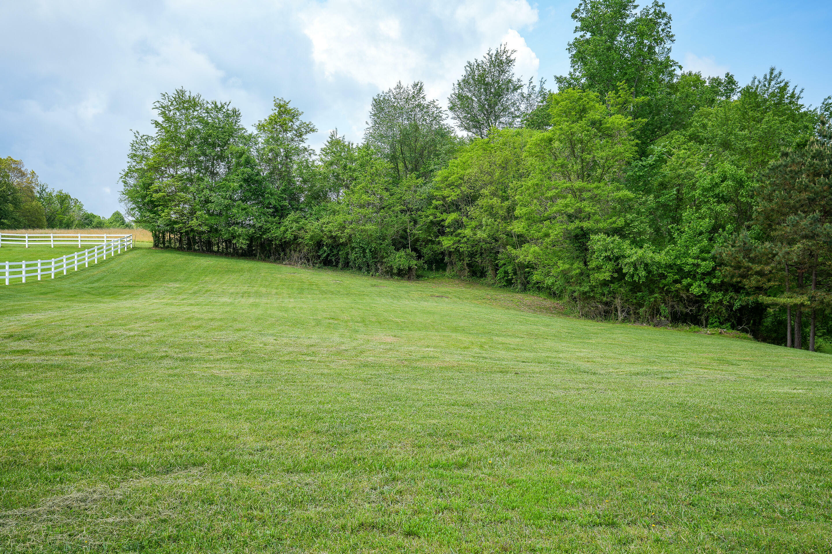 Property Photo:  Tbd Walnut Grove Road  TN 37743 