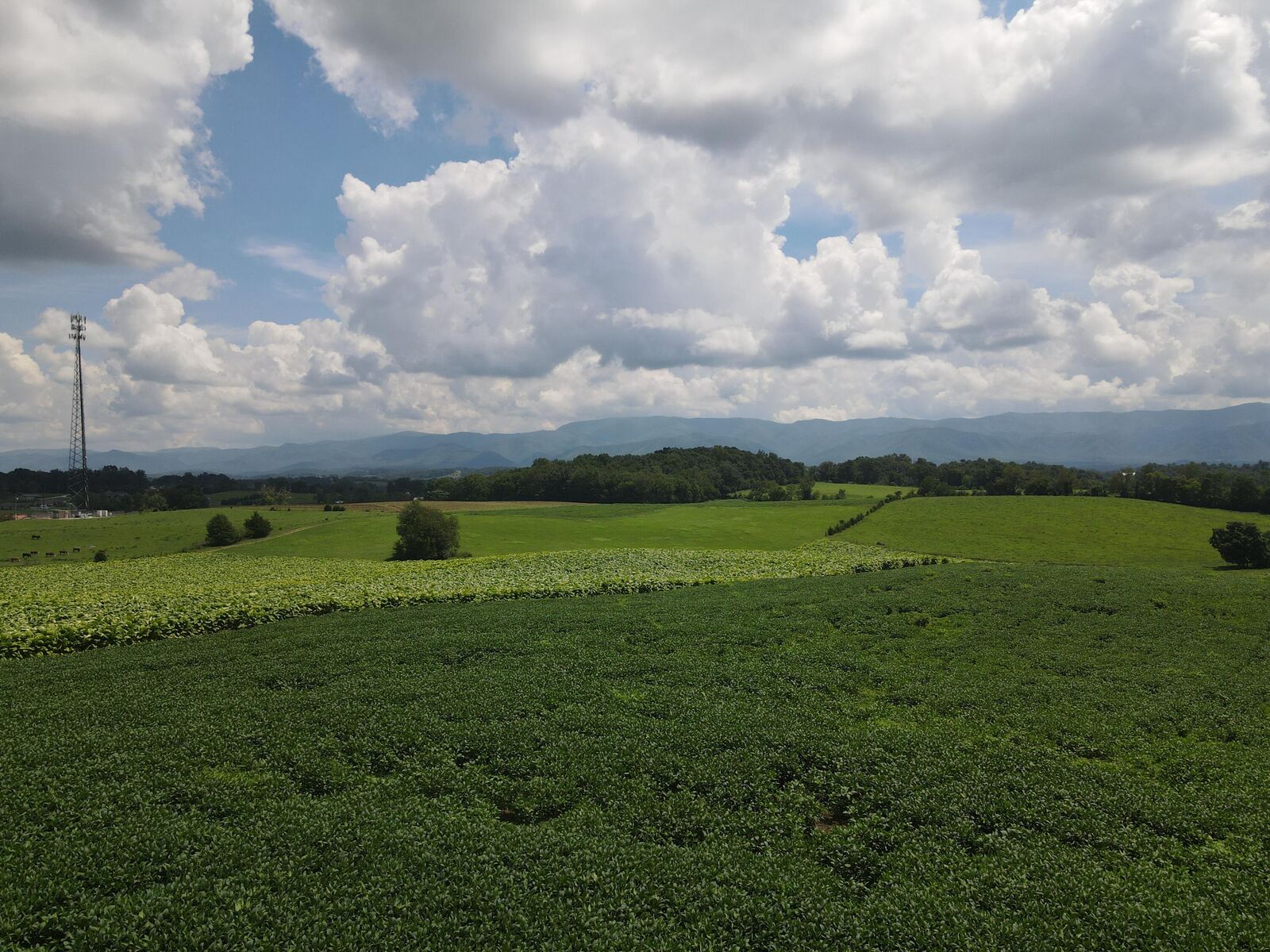 Property Photo: Tbd Old Erwin Hwy TN 37745
