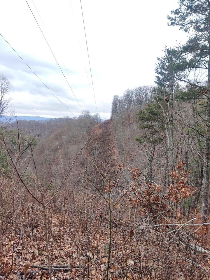 Tbd Bear Hollow Road  Bristol TN 37620 photo