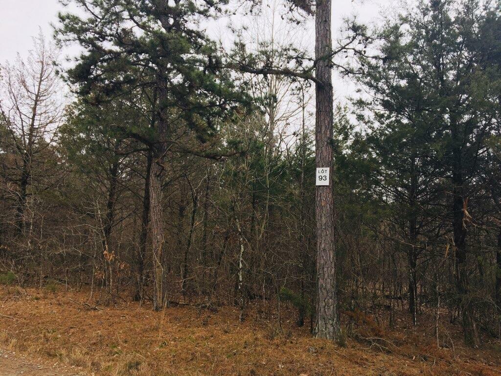 Property Photo:  93 Eagles Nest, Cr 1788  AR 72847 