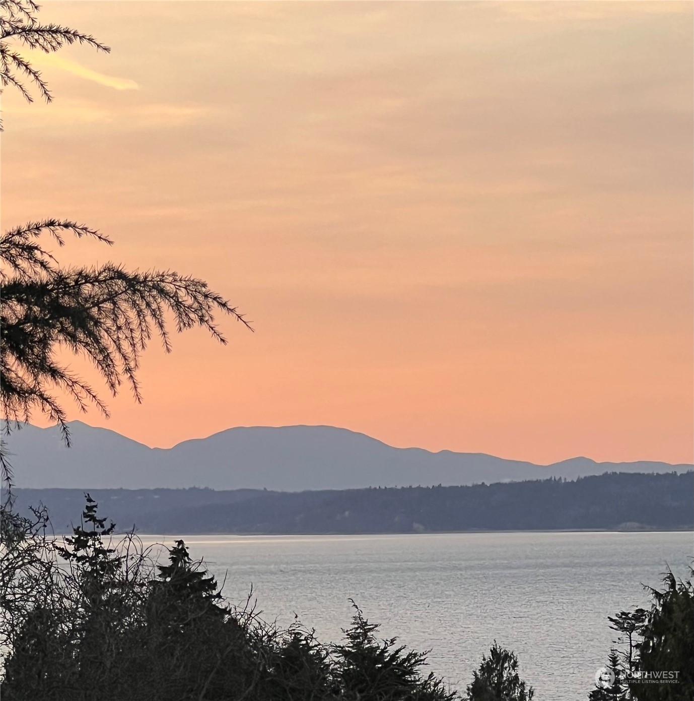 Property Photo:  2313 NW 96th Street  WA 98117 