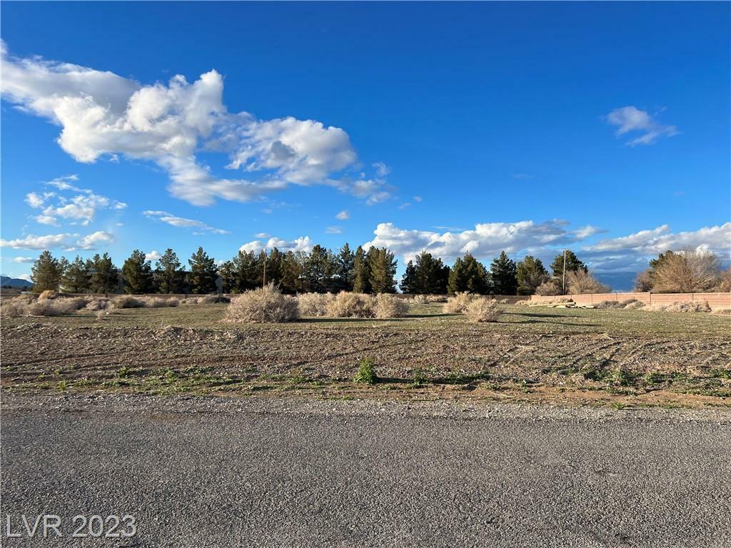 Property Photo:  1950 West Labrador Street  NV 89048 