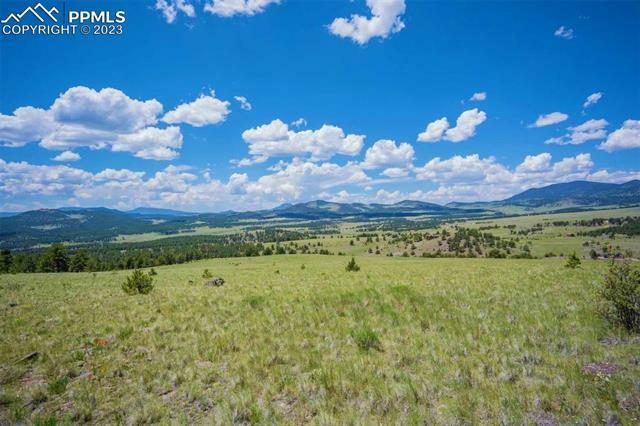 Property Photo:  1746 Castle Mountain Pass  CO 80820 