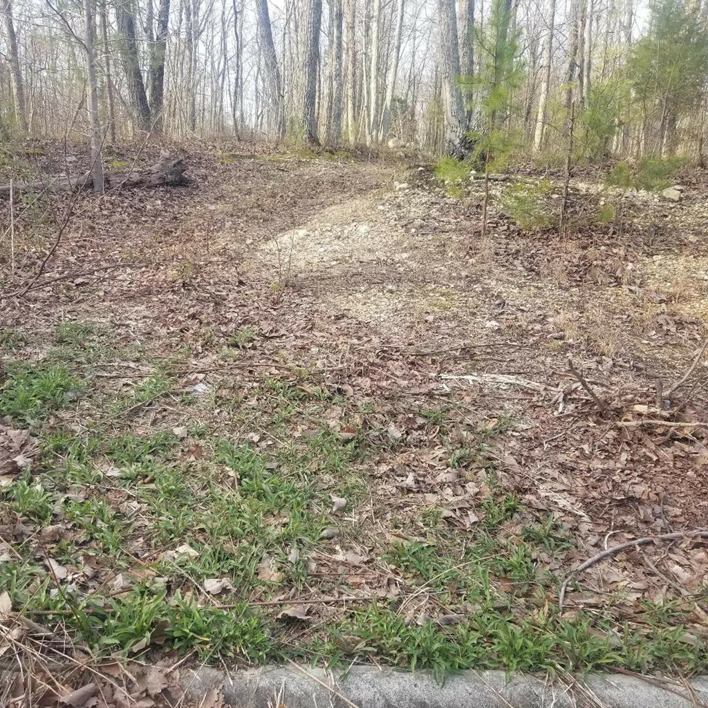 Property Photo:  Lot 160  9 County Road 316  TN 37826 