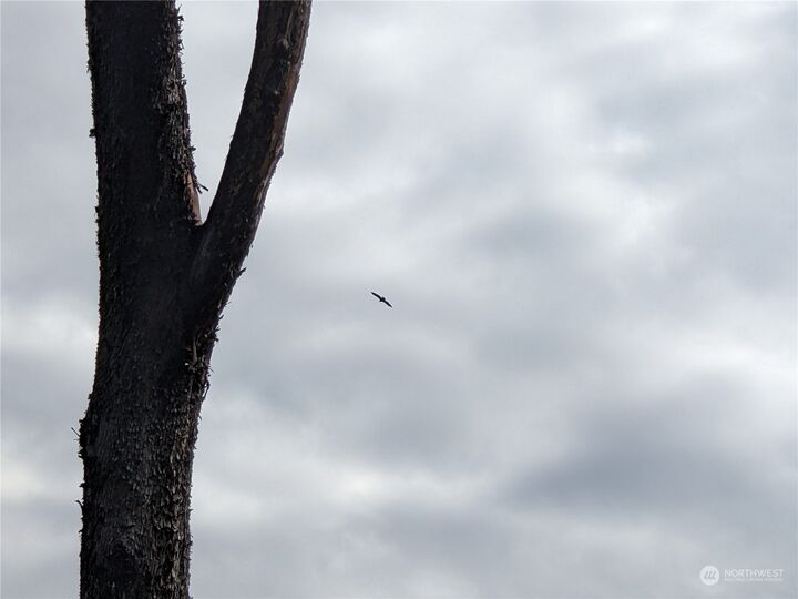 Property Photo:  0  196th Avenue NW  WA 98329 