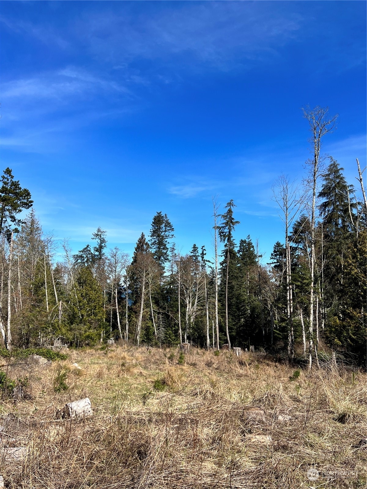 Property Photo: 99 Highlands Drive WA 98250