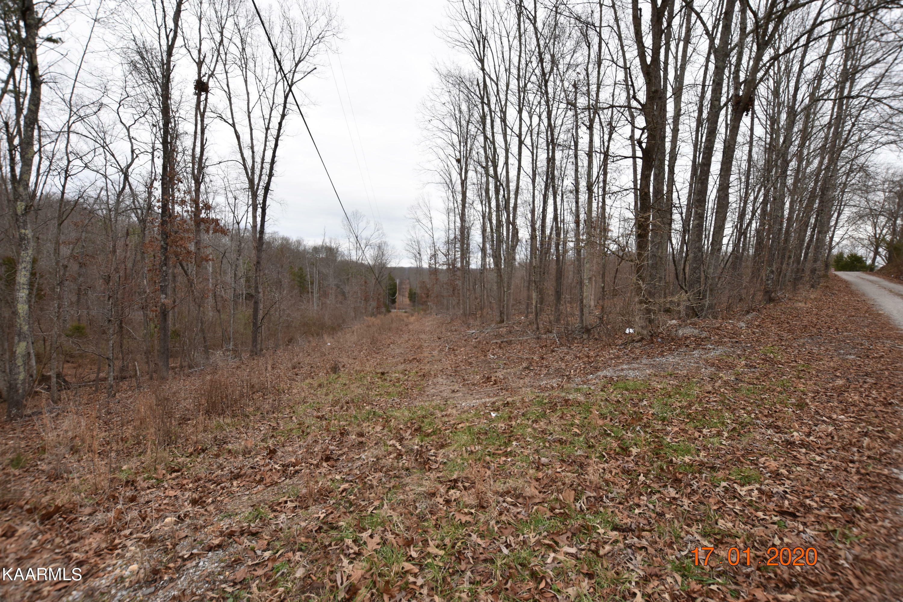 Lot 7 Bill West Drive  Ten Mile TN 37880 photo