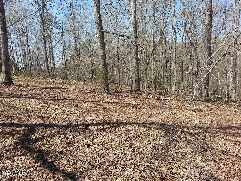 Lot 1 Bill West Drive  Ten Mile TN 37880 photo