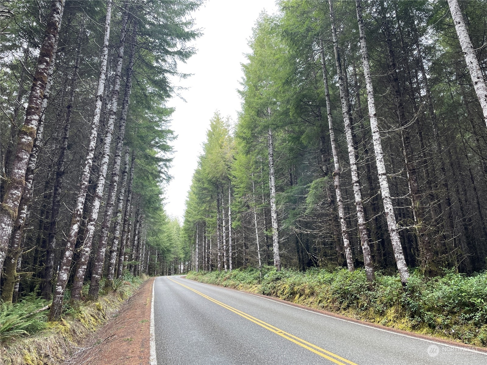 Property Photo: 0 South Fork Road WA 98577