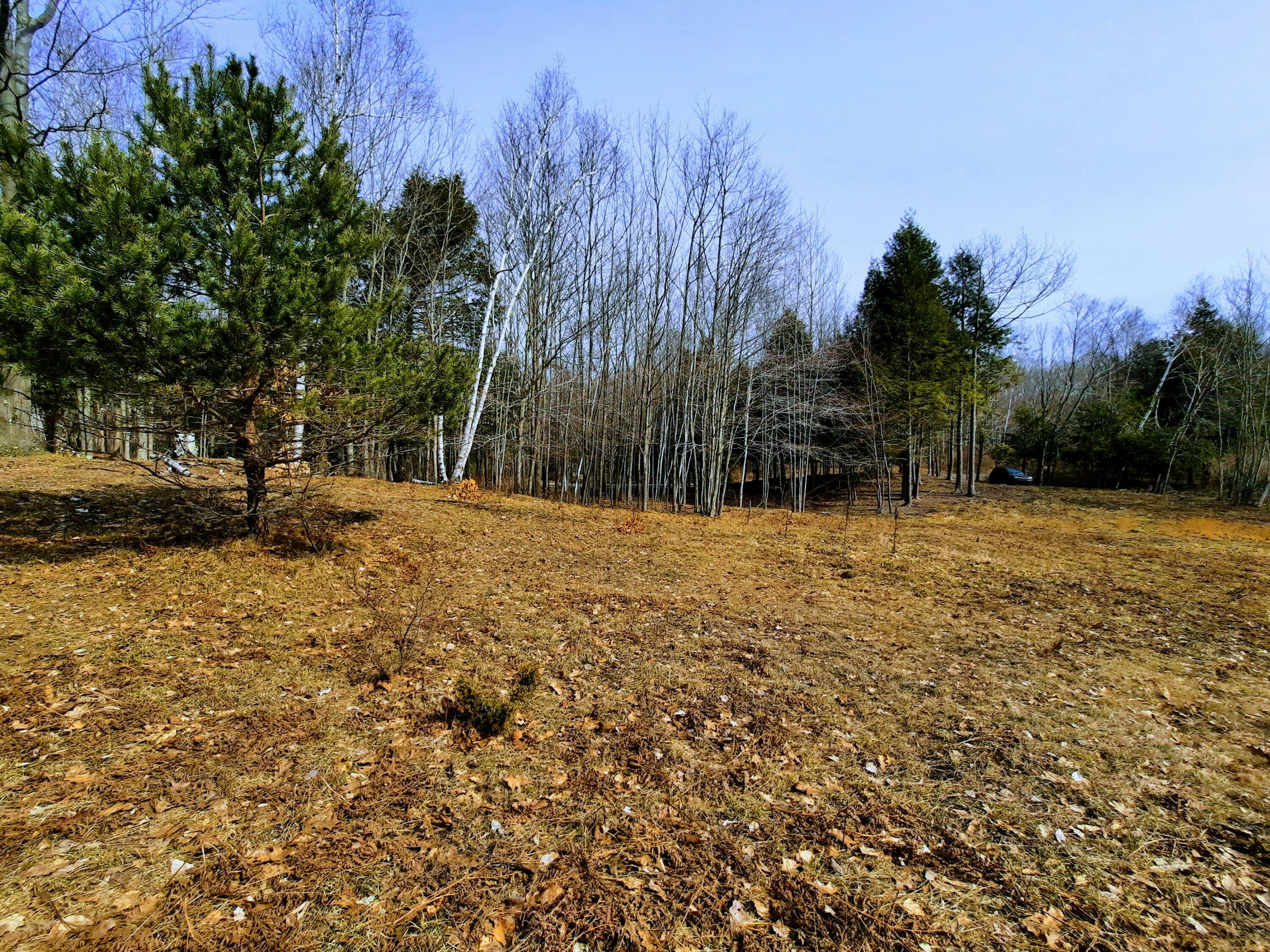 Property Photo:  Lot 47 Smith Road  MI 49675 