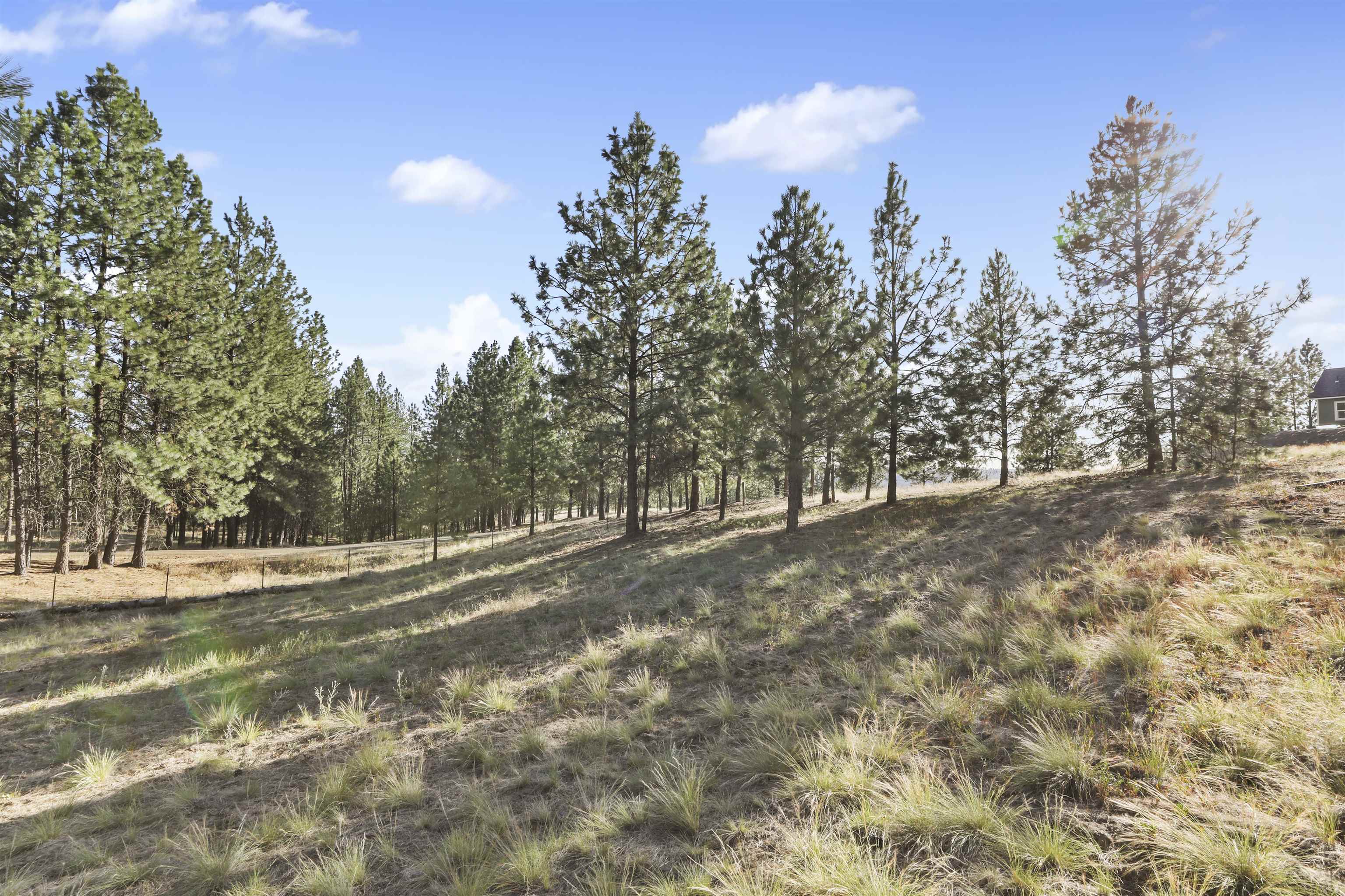 Property Photo: Lot 49 Westview Dr L14 B1 WA 99026