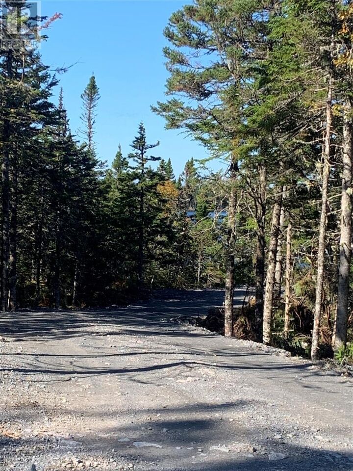 Property Photo:  Lot 29 Halleran Trail  NL A0B 1G0 