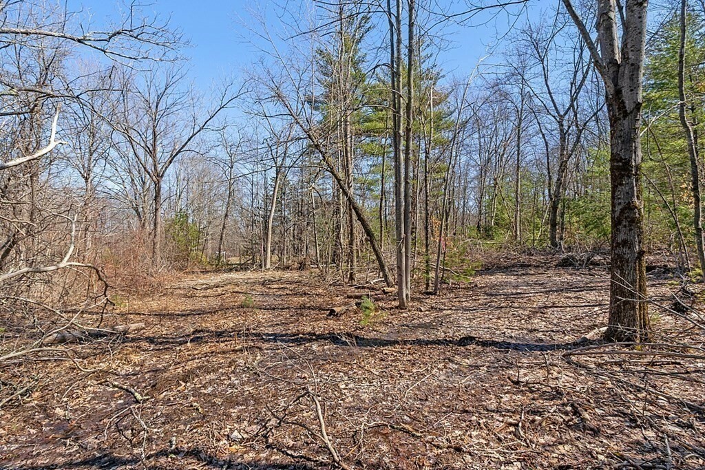 Property Photo:  0 Bayberry Hill  MA 01469 