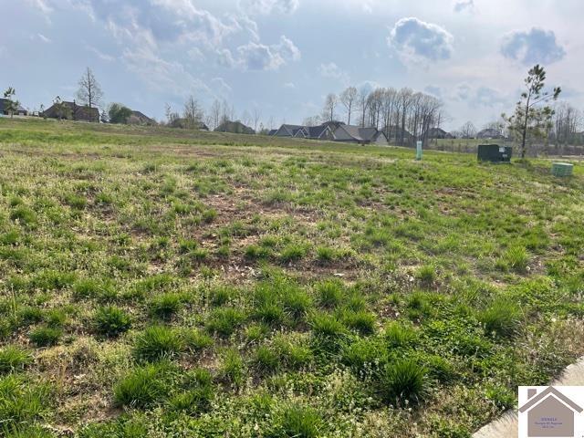 Property Photo: 105 Low Ridge Lane KY 42003