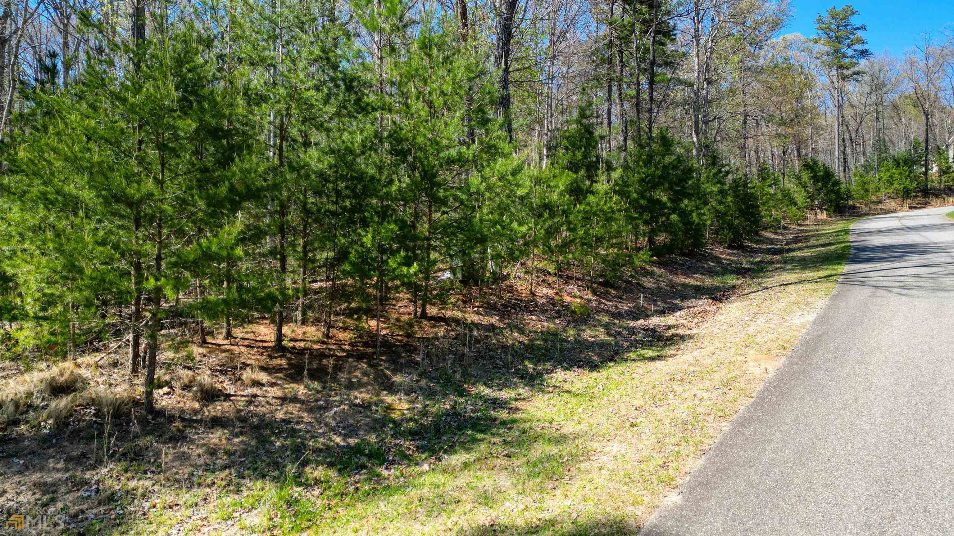 Property Photo:  Lot 43 Clay Drive  GA 30512 