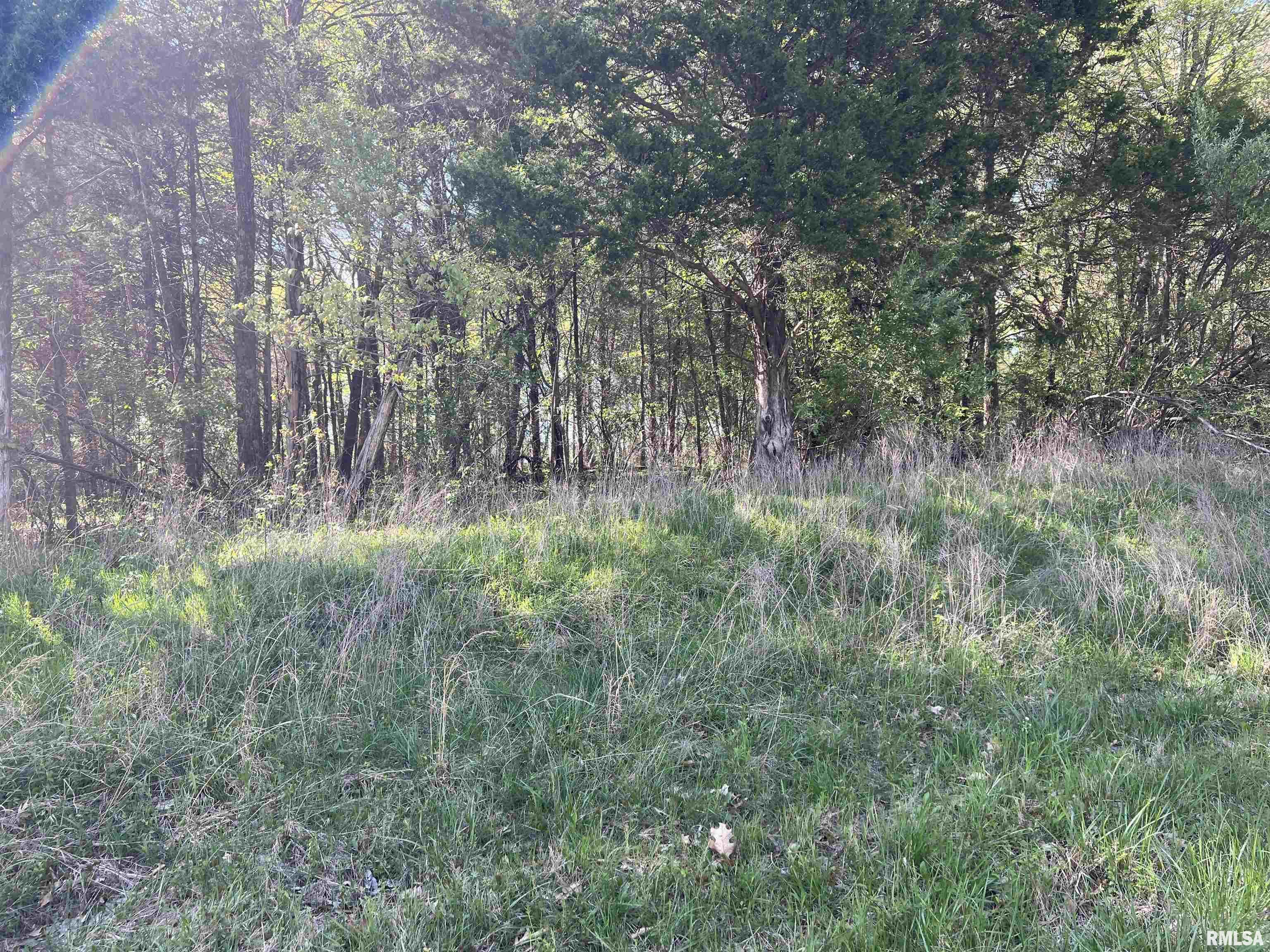 Property Photo: Lots 74 &Amp 75 Sugar Creek Road IL 62939