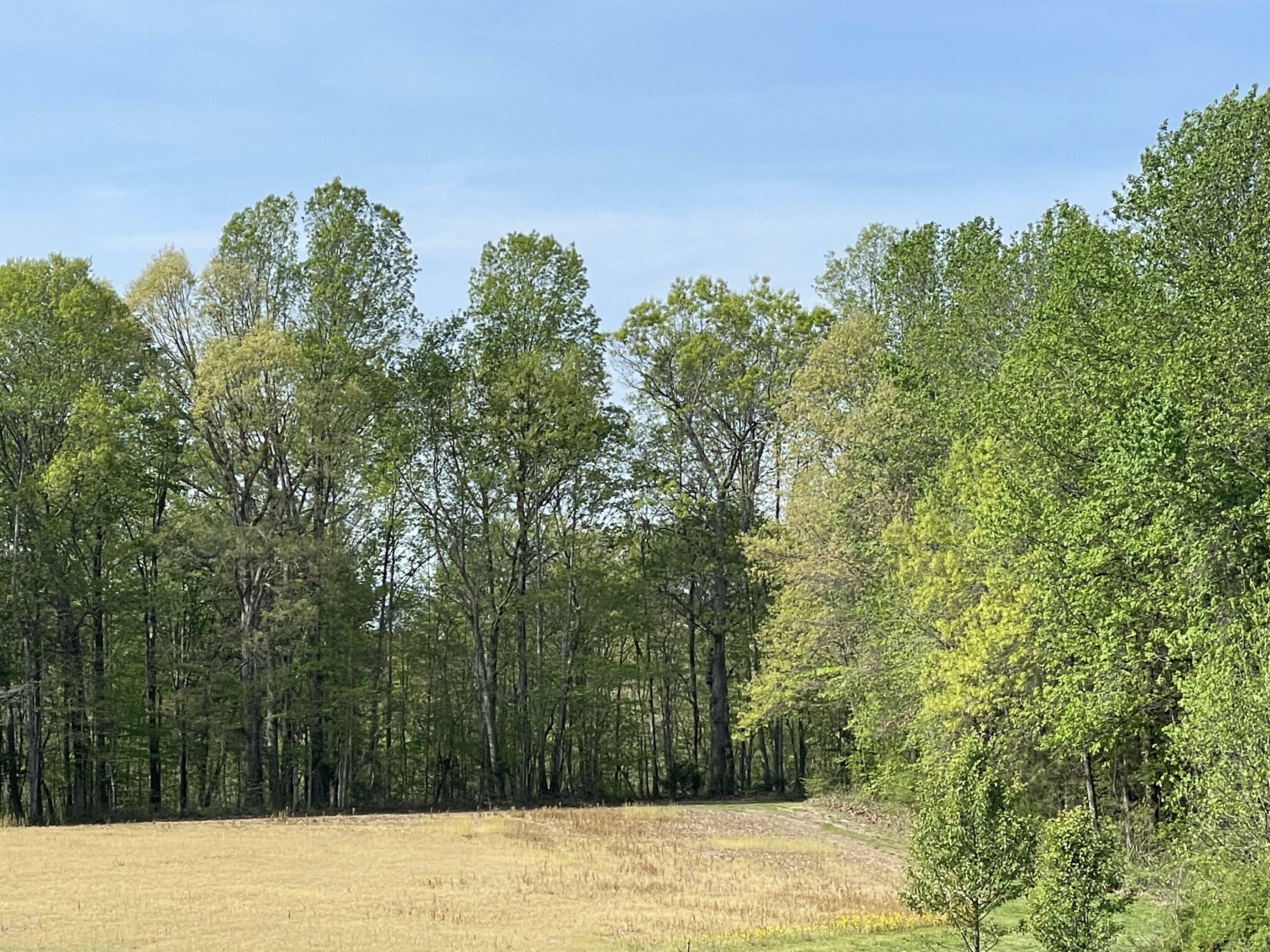 Property Photo:  00 Knifley Road  KY 42733 