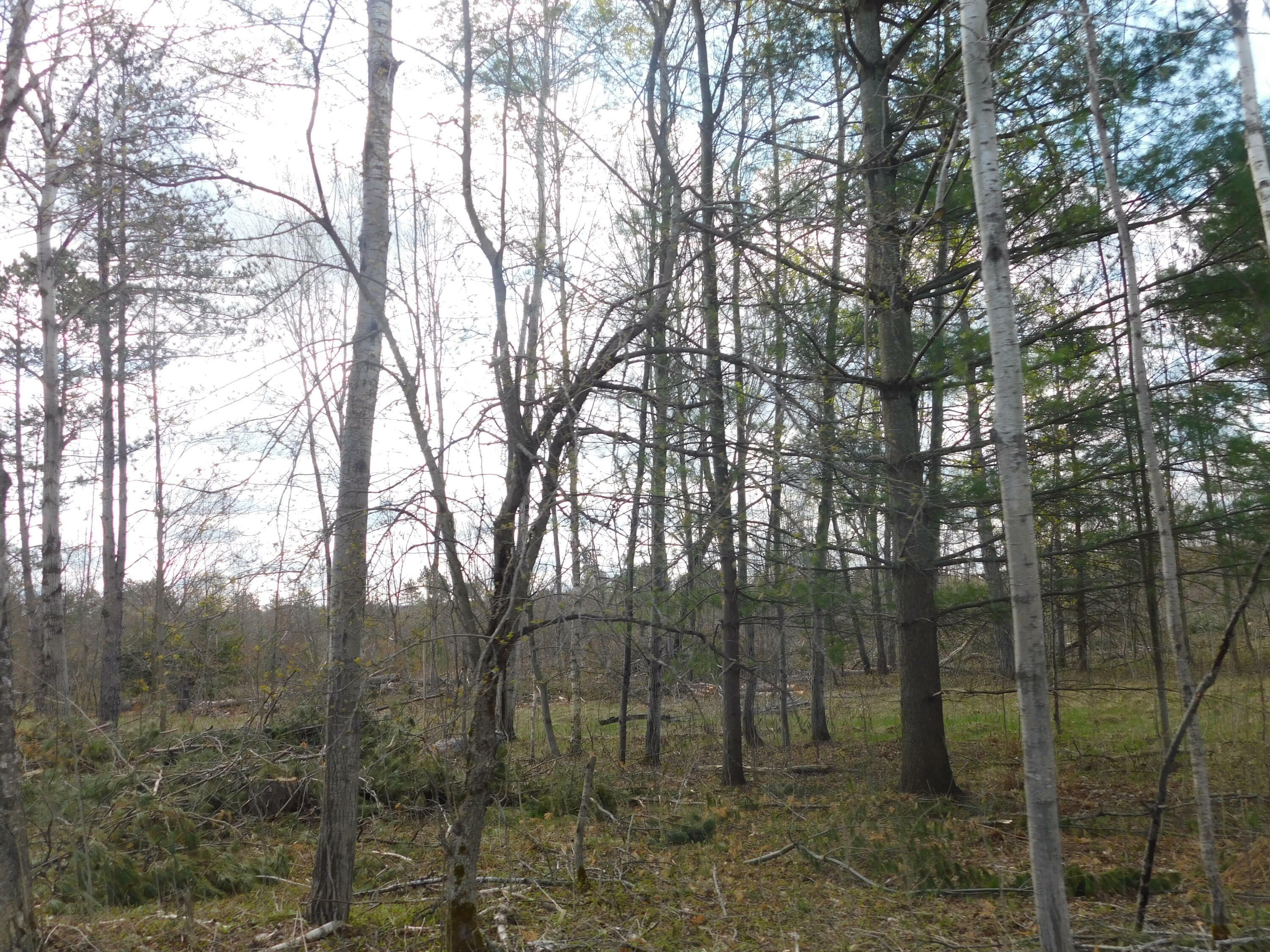 Property Photo:  11029 W 34 1/2 Road  MI 49638 