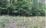 Lot 17 Idle Lane  Blue Ridge GA 30513 photo