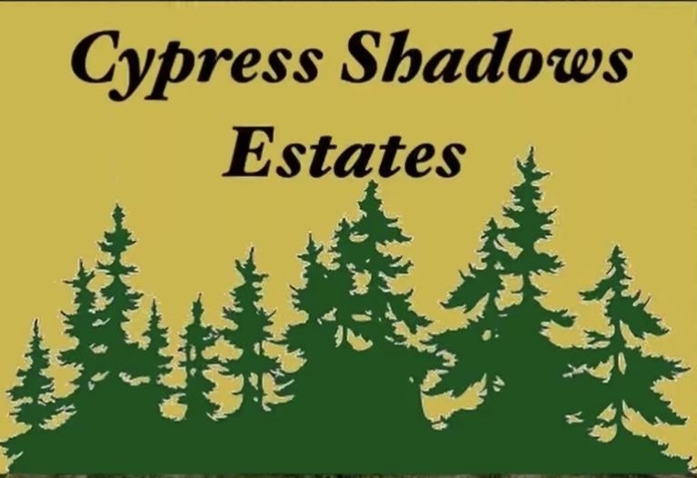 2865 Cypress Shadows Lane  Orange TX 77632 photo