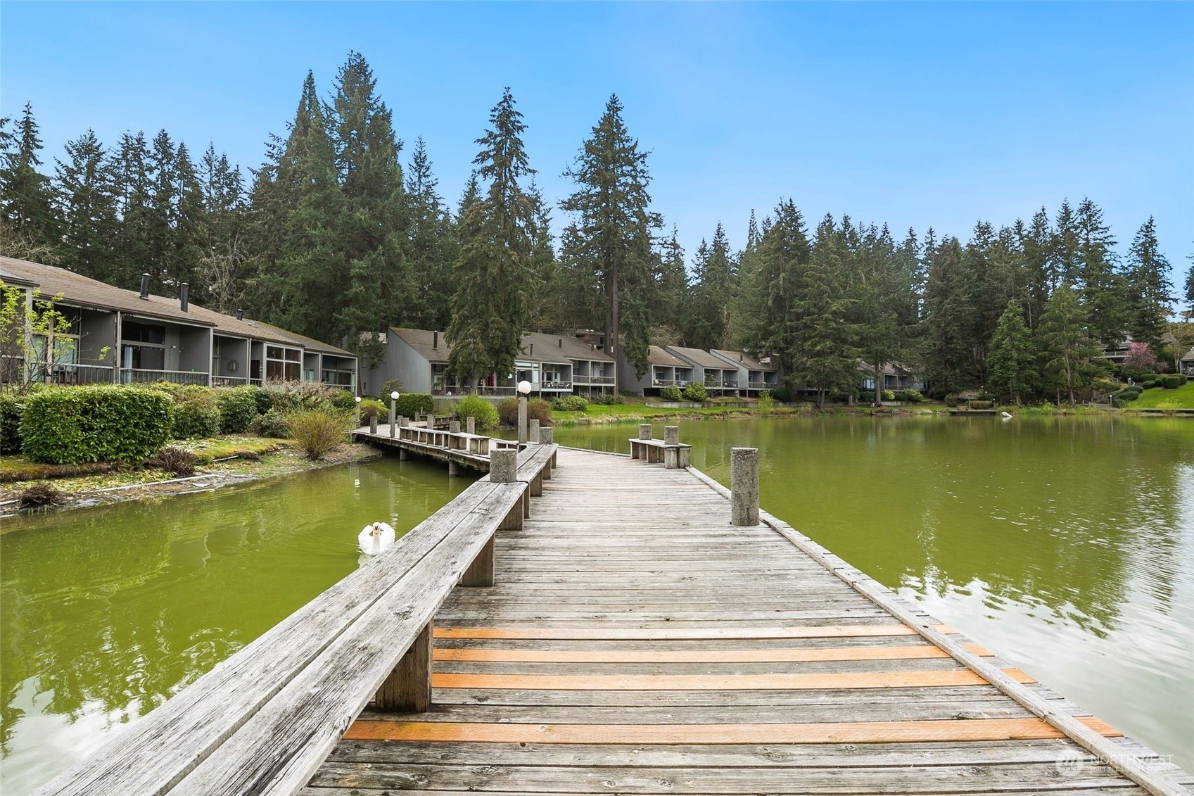 6234 138th Avenue NE 206  Redmond WA 98052 photo