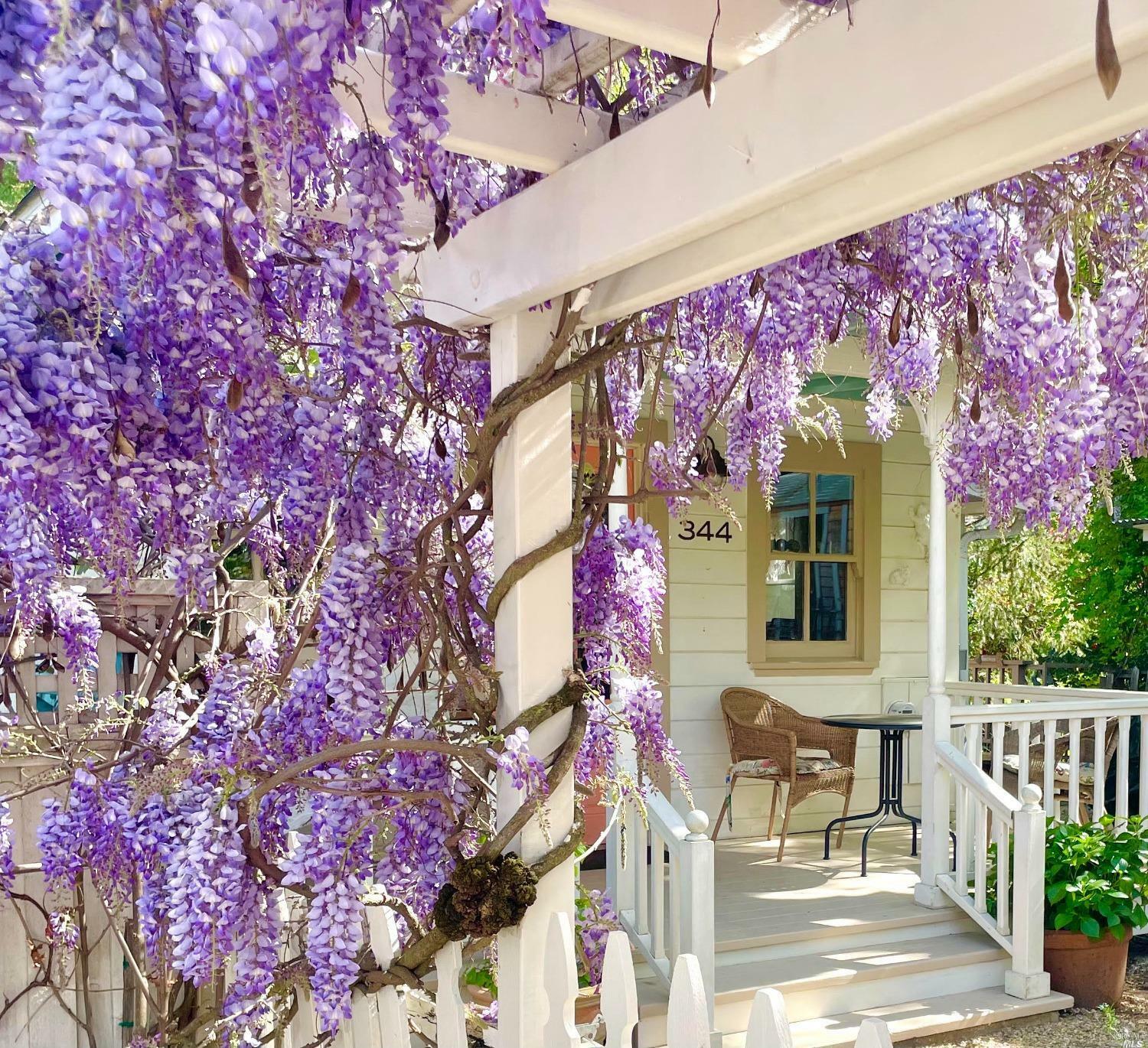 Property Photo: 344 Oak Street CA 95476