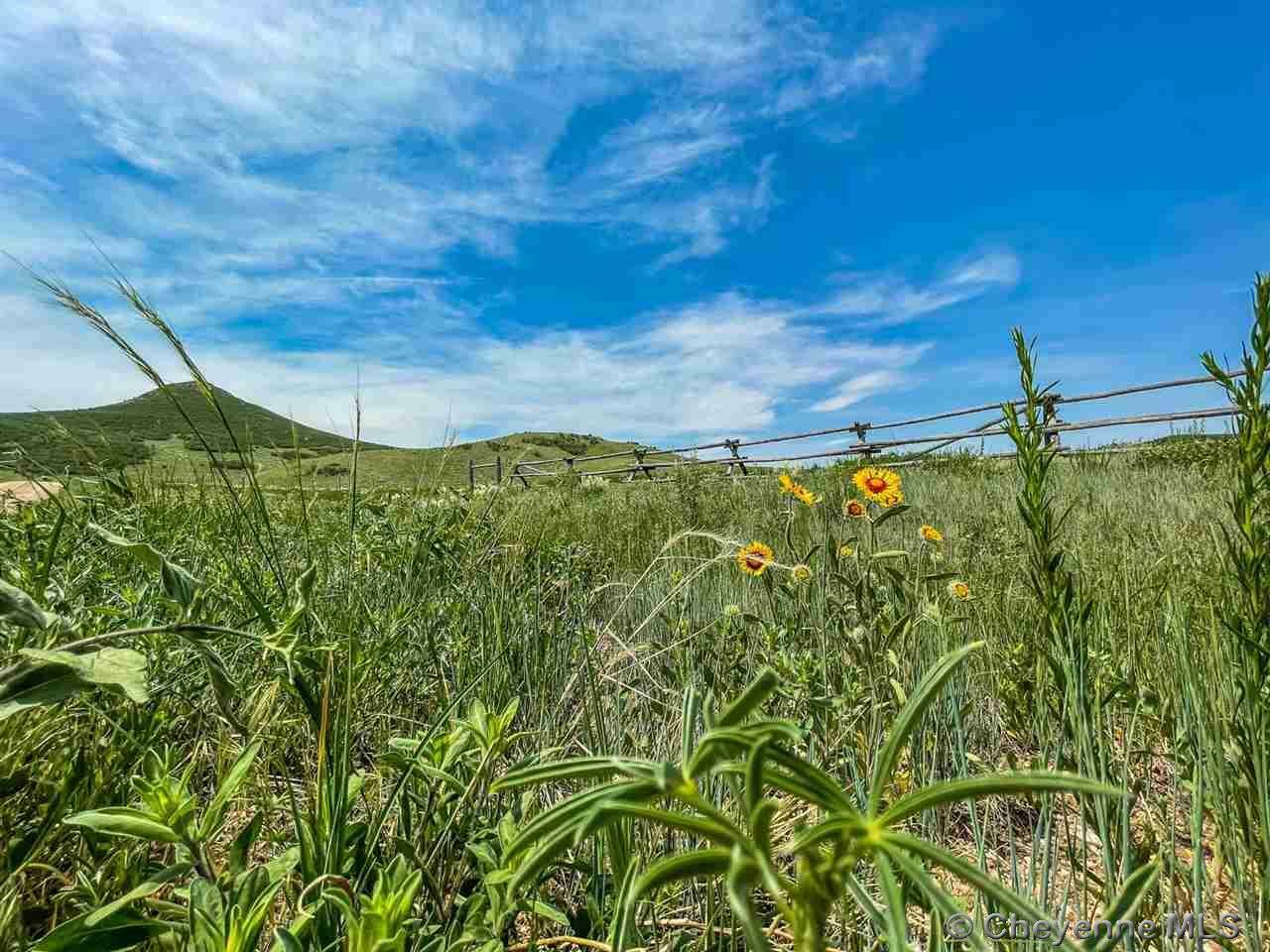 Property Photo:  Tr 233 Mountain View Loop  WY 82009 