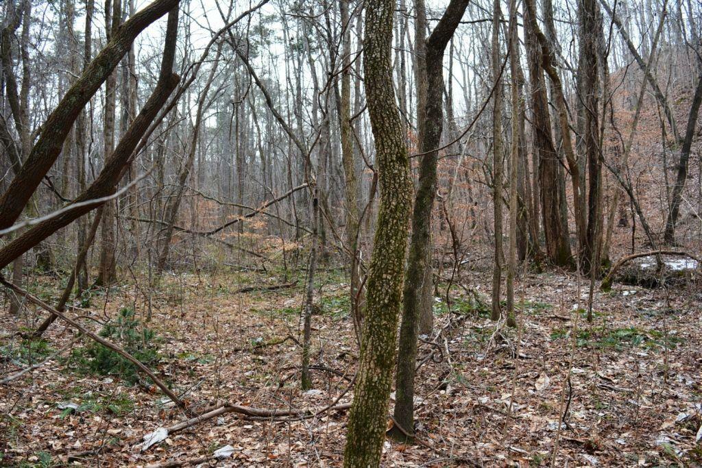 Property Photo:  0 Willow Springs Road  GA 30132 