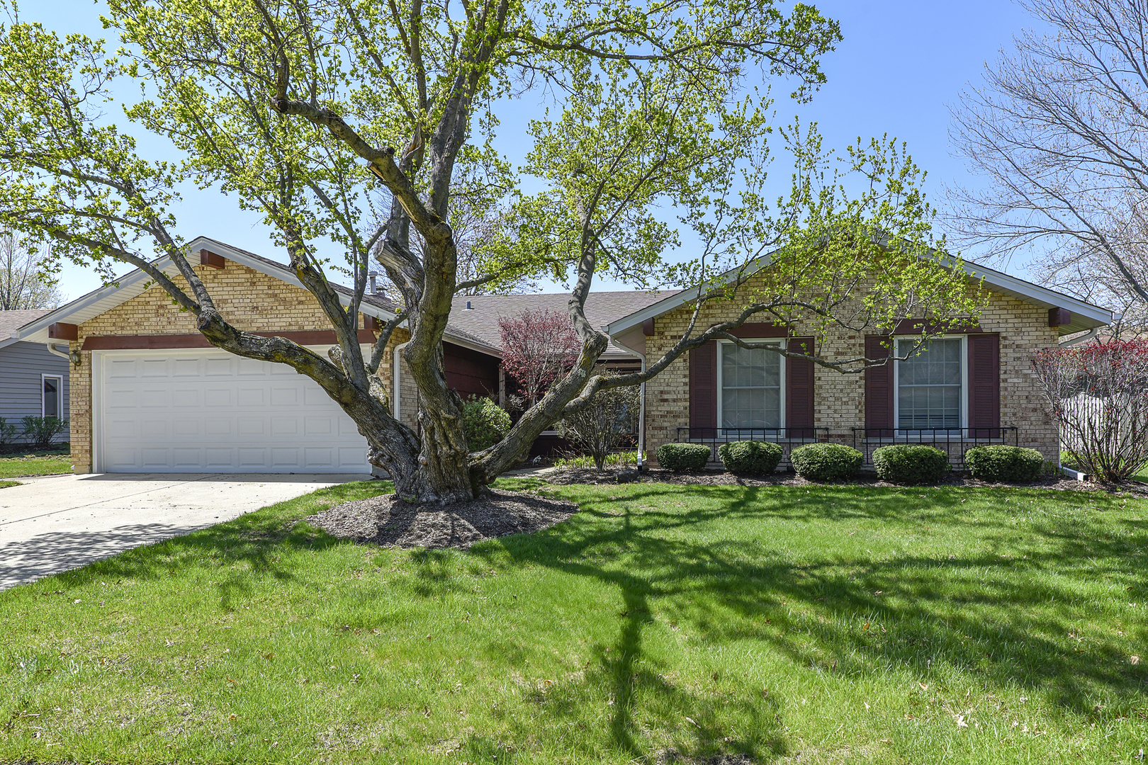 Property Photo:  264 Arbor Lane  IL 60108 