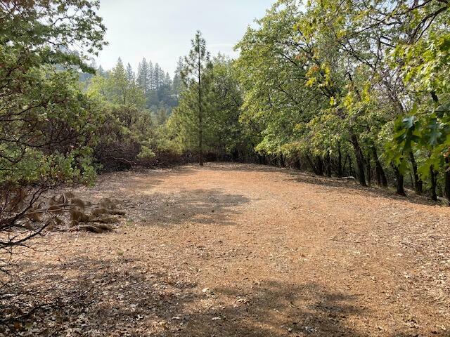 Ground Squirrel Way - Lot 5  Lakehead CA 96051 photo