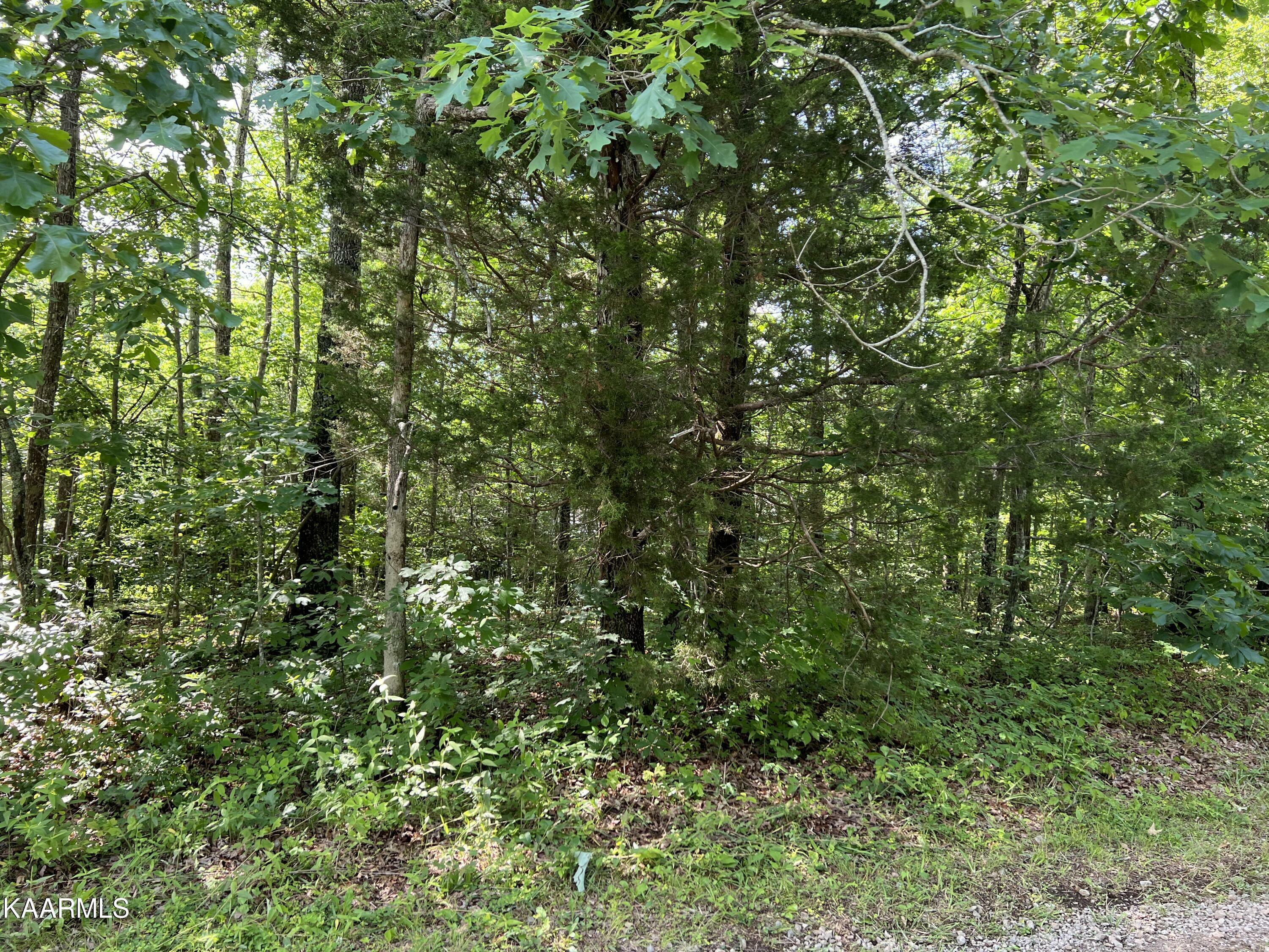 Property Photo: 9115 Weketa Circle TN 38572