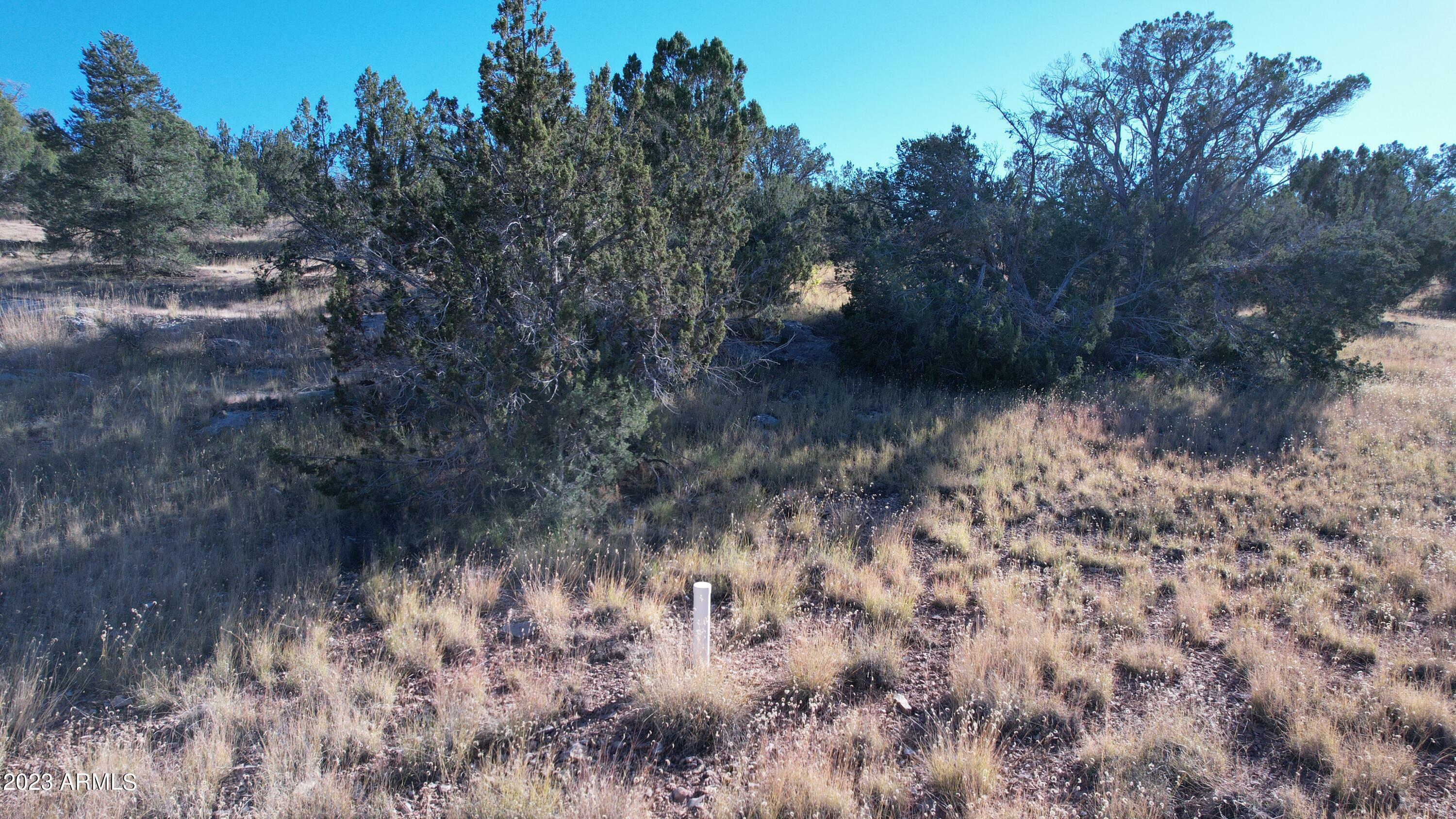 Property Photo:  30863 W Basconia Road 4315  AZ 86337 