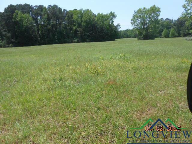 Property Photo:  Lot 3 5.287 Ac Cr 217  TX 75652 