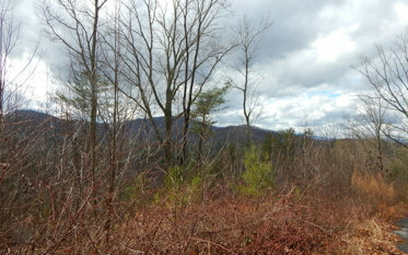 Property Photo:  14 View Ridge Trail  NC 28906 