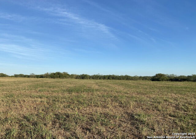 Property Photo: Tract #2 Crow Ln TX 78101