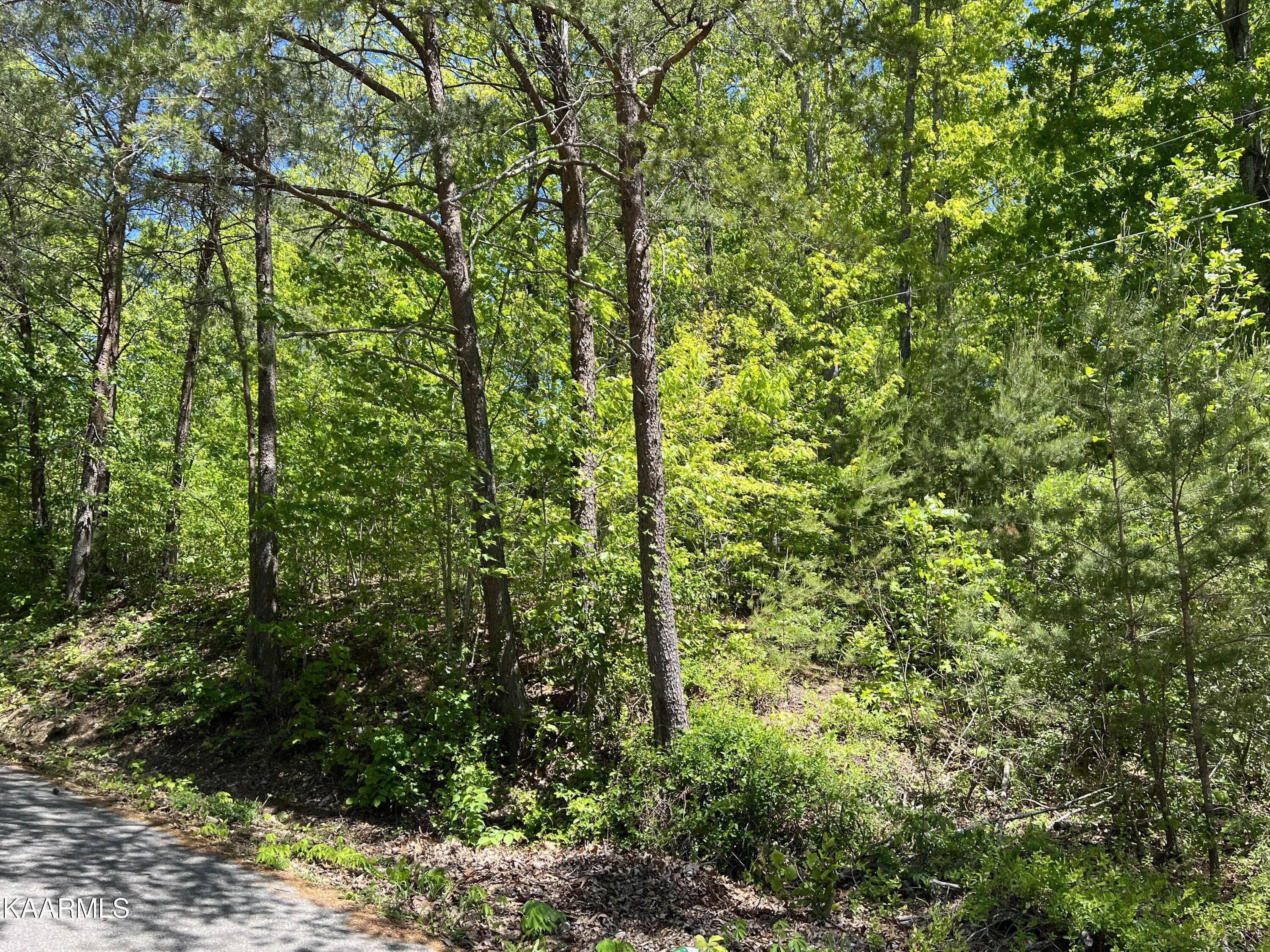 Property Photo:  Bowman Drive  TN 37757 