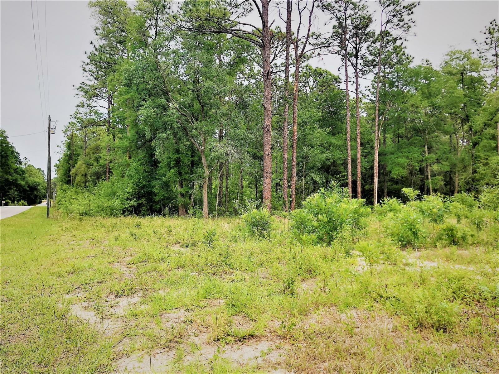 Property Photo:  00 SW 189th Avenue  FL 34432 