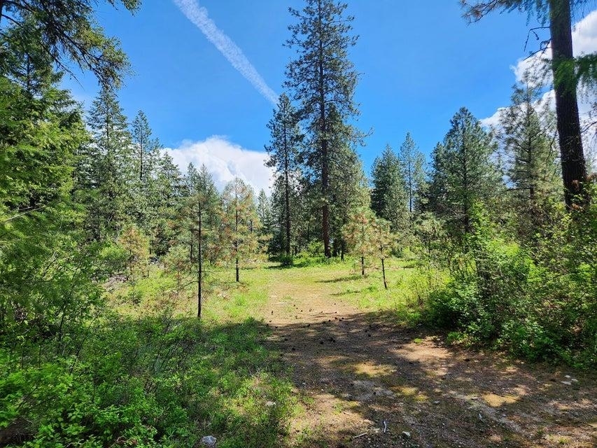 Property Photo:  168 Nancy Creek Rd  WA 99141 