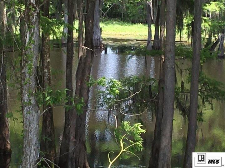 Property Photo: 9382 Desiard Trace LA 71280