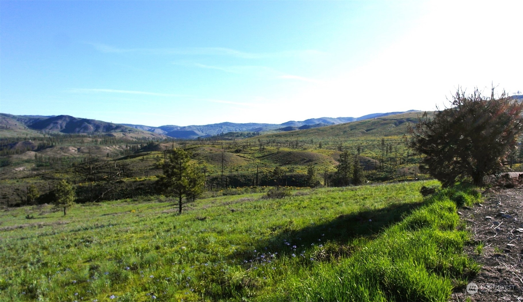 Property Photo:  15 Sawtooth View Road  WA 98834 