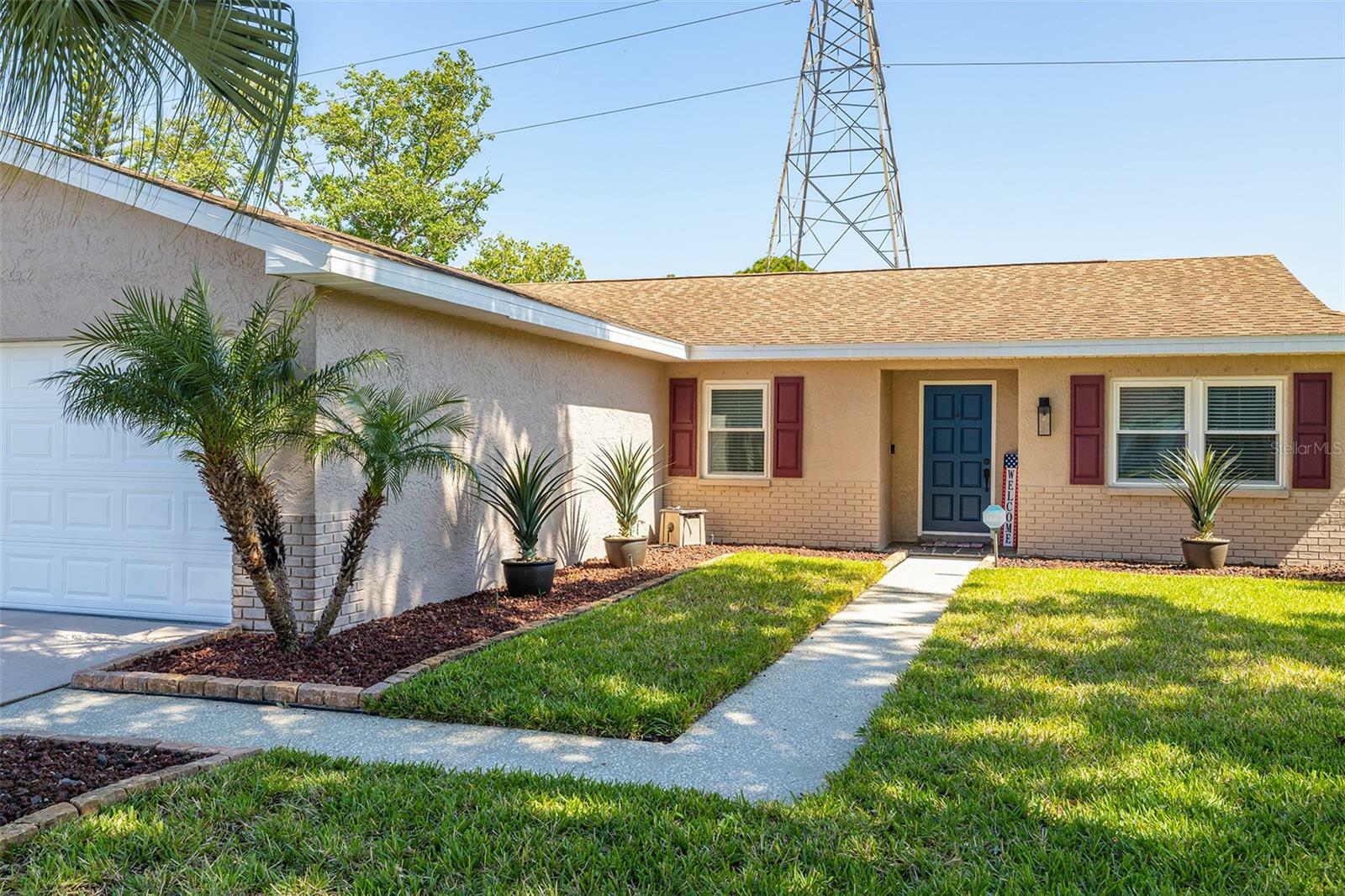 Property Photo:  3296 Buckhorn Drive  FL 33761 