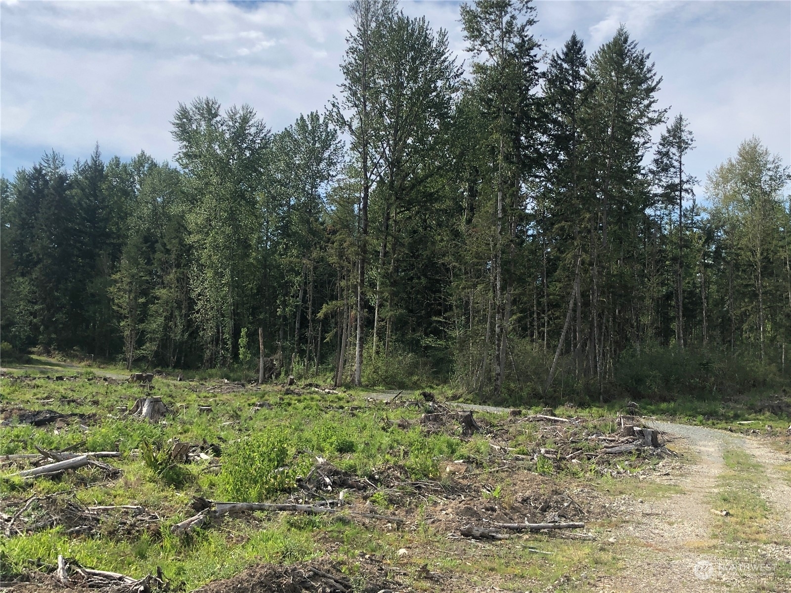 Property Photo: 0 340th Street E WA 98580