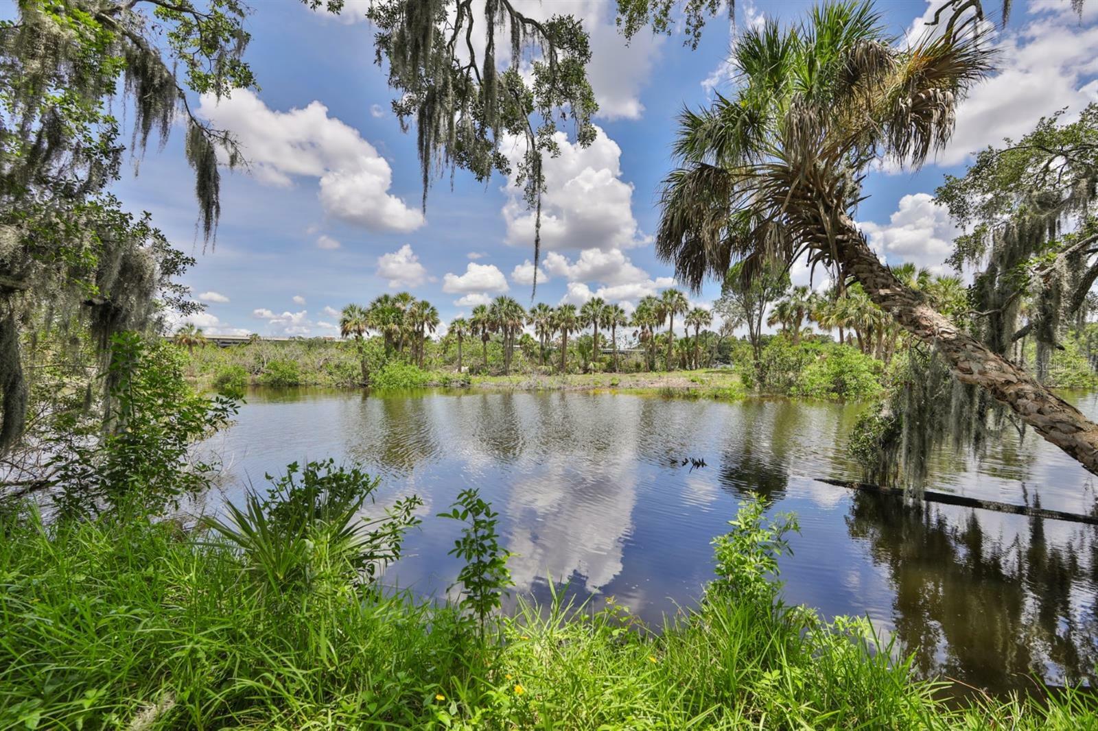 Property Photo: 9511 River Cove Drive FL 33578