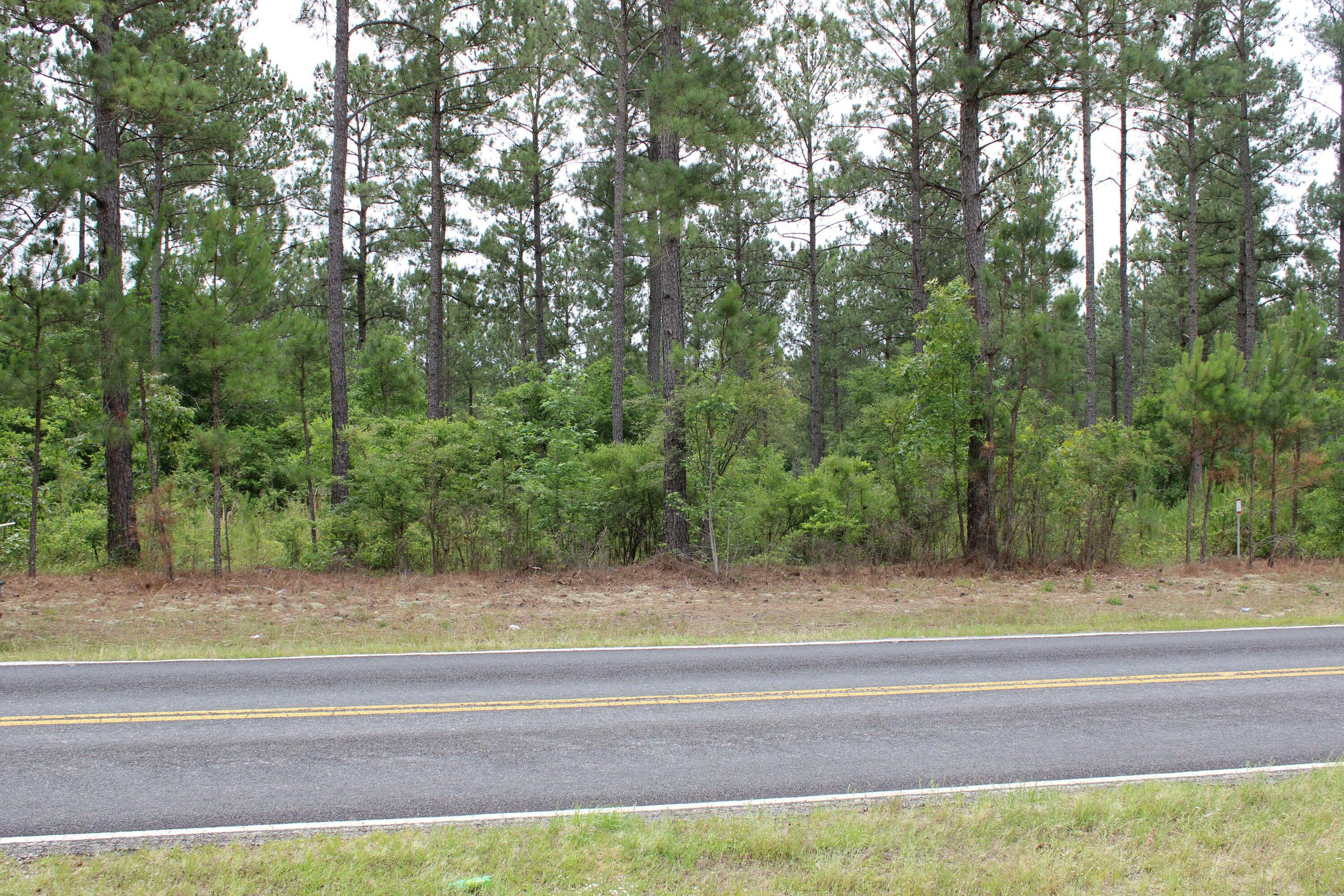 Property Photo:  0 (Lot 4) New Holland Road  SC 29804 