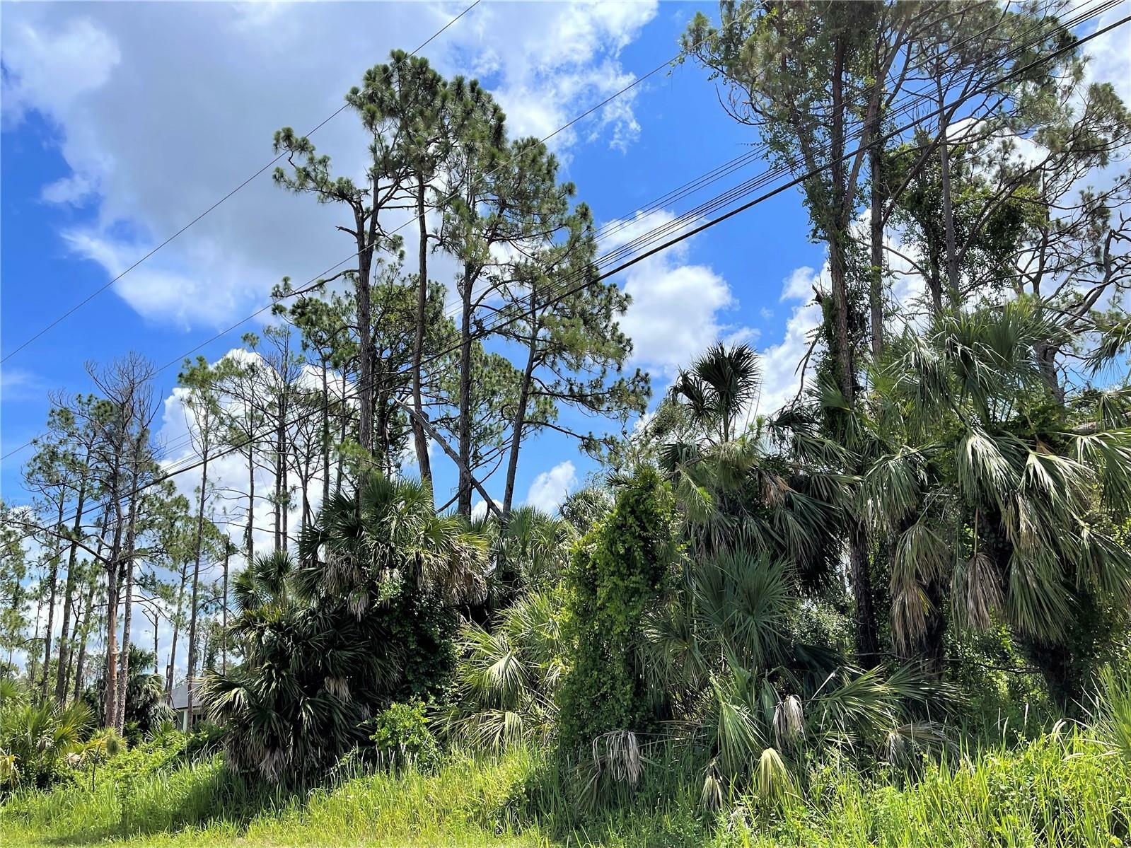 Property Photo:  Lot 16 Rufus Road  FL 34288 