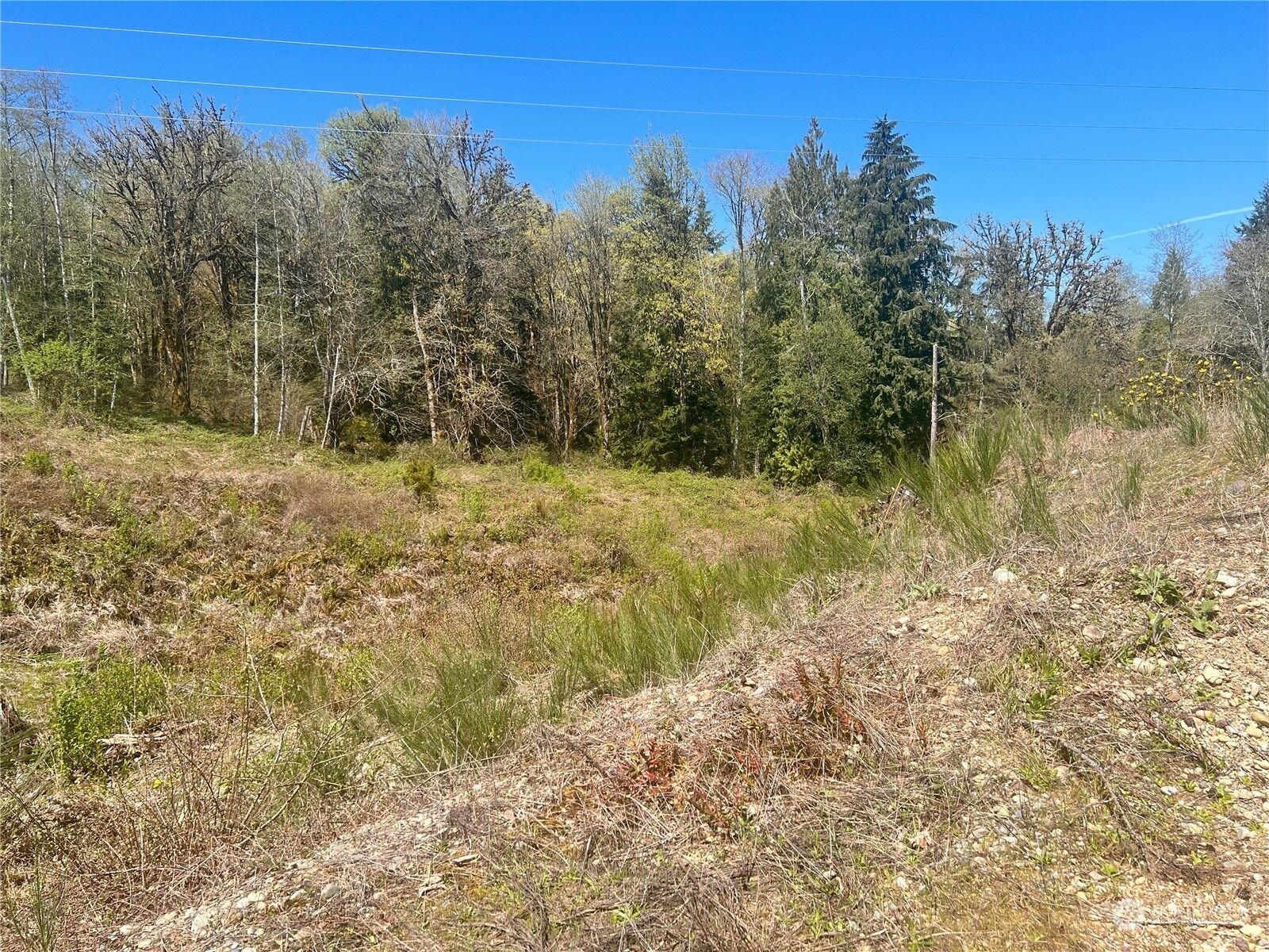 Property Photo: 214 Xx E State Route 3 WA 98528